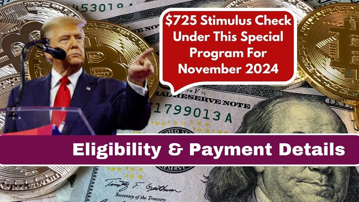 $725 Stimulus Check Under This Special Program For November 2024