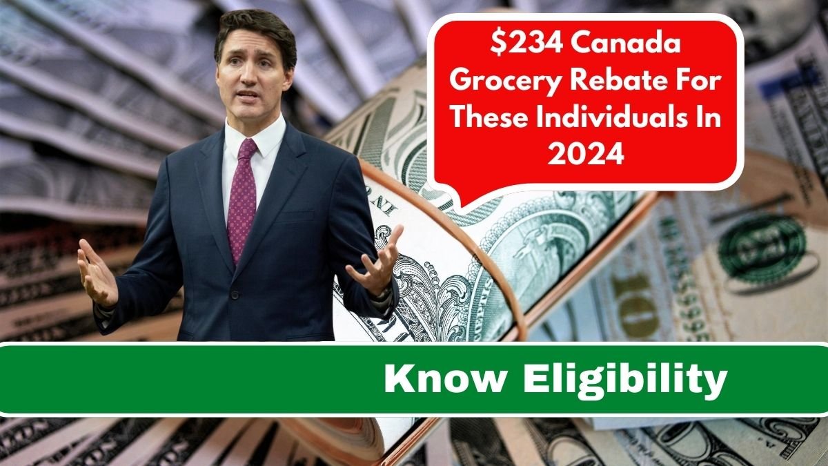 $234 Canada Grocery Rebate For These Individuals In 2024