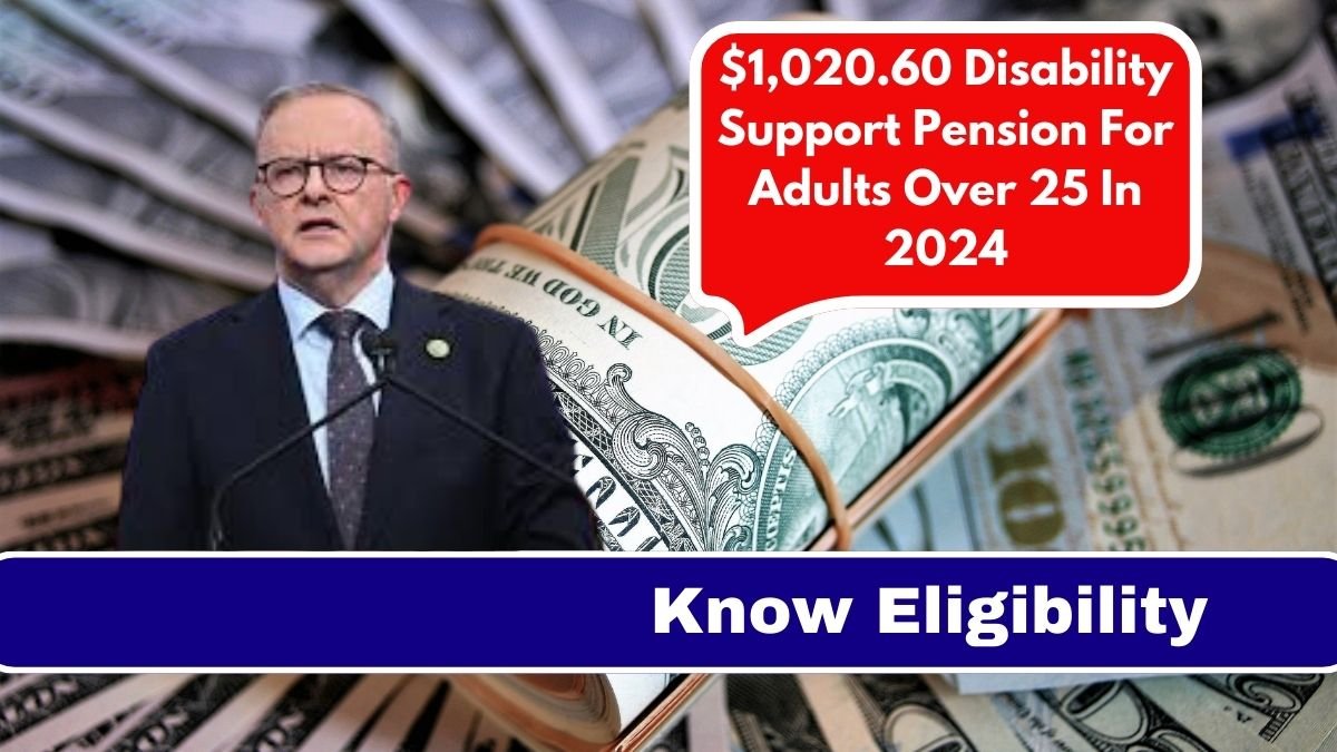 $1,020.60 Disability Support Pension For Adults Over 25 In 2024