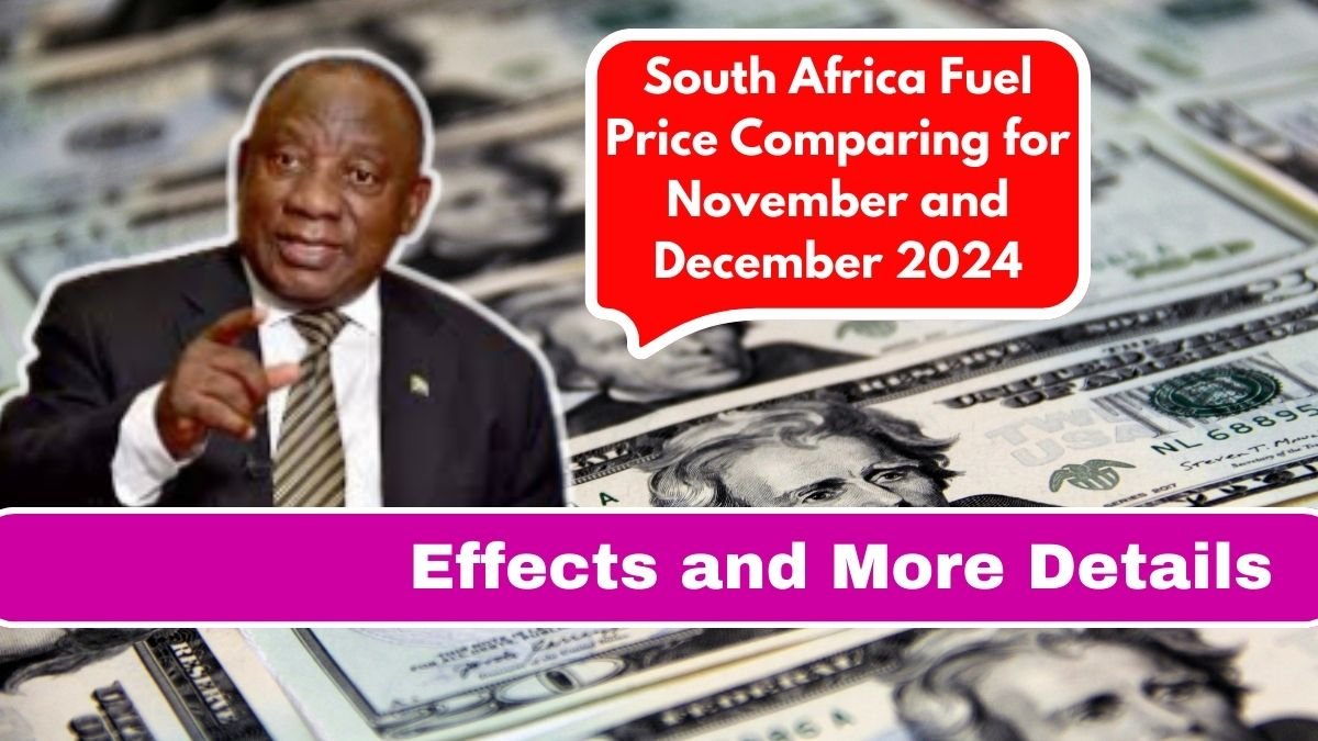 Fuel Price Comparing for November and December